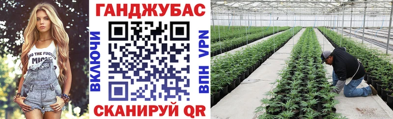 Наркота Волхов Галлюциногенные грибы  COCAIN  Меф  АМФ  Каннабис  ГАШ 