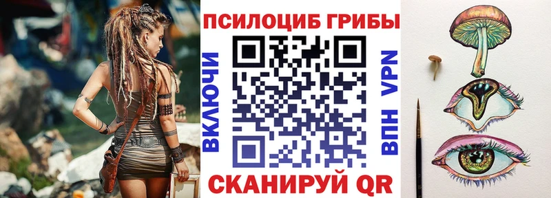 купить наркоту  дарк нет как зайти  Галлюциногенные грибы мицелий  Волхов 